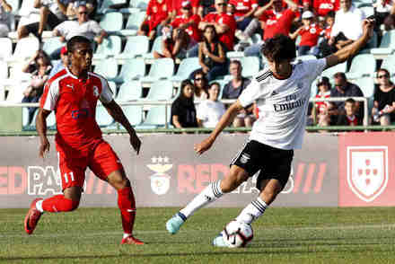 Benfica x FK Napredak - Pr-poca 2018/19 - Jogos Amigveis 