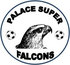 Palace Super Falcons