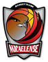 Micaelense Basket