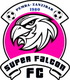 Super Falcon