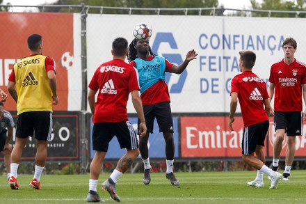 David Tavares David Jose Gomes Oliveira Tavares Benfica