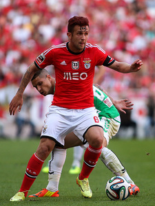 Benfica v V. Setbal J29 Liga Zon Sagres 2013/14