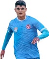 Carlos Beltrn