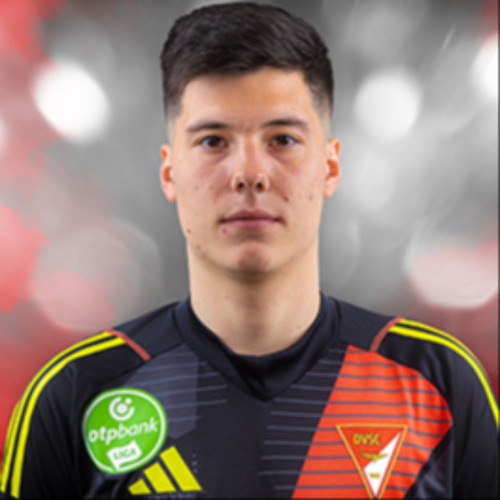 Krisztin Hegyi
