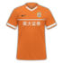 Shandong Taishan 