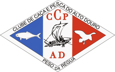 CCPAD Jun.D U13
