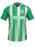 Atltico Nacional