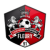 FC Fleury 91